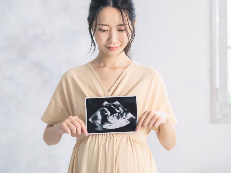 エコー写真を持つ妊婦